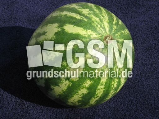 Wassermelone.jpg